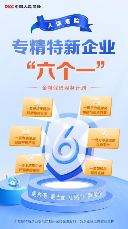 人保壽險(xiǎn):為民服務(wù)辦實(shí)事 一枝一葉總關(guān)情 網(wǎng)絡(luò)技術(shù)服務(wù)